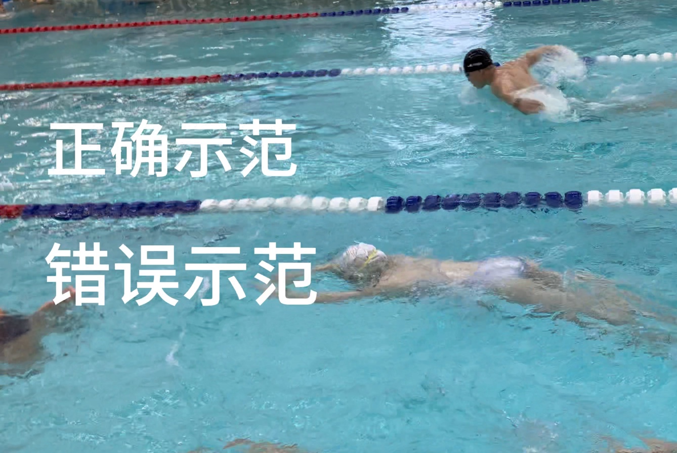 详细阅读:蝶泳的正确姿势(蝶泳的正确姿势和换气) 蝶泳的正确姿势(蝶泳的正确姿势和换气)